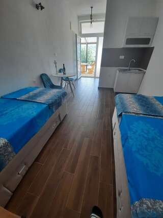 Апартаменты Apartments Kingfisher Вирпазар Номер-студио с видом на бассейн-19